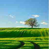 数‍据​库‍优‍化​引‍擎​有﻿哪‌些﻿